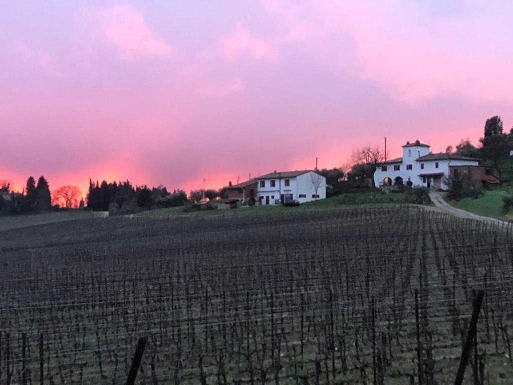 Вилла Azienda Agricola Il Poggiolino Pelago Экстерьер фото